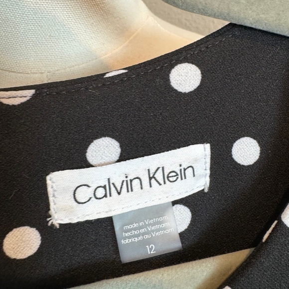 Calvin Klein Sleeveless A-line Polka Dot Dress - Picture 5 of 5